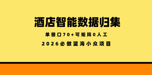 酒店智能数据归集，小众蓝海已经稳定半年之久，单窗口70+零成本矩阵开干【揭秘】-e家网