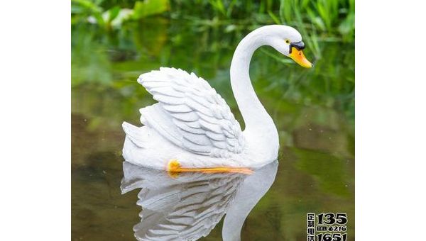 院子里养天鹅的风水讲究-e家网