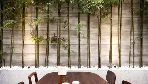 院子里种植竹子的风水好处-e家网