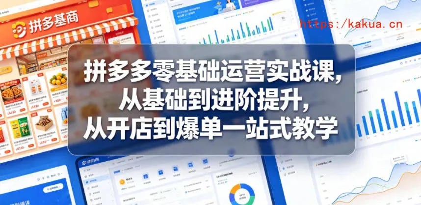拼多多零基础运营实战课，从基础到进阶提升，从开店到爆单一站式教学-e家网