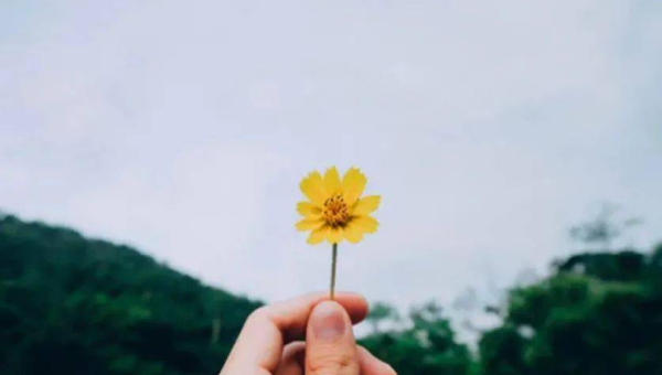 天秤座的人在感情中专情吗？-e家网