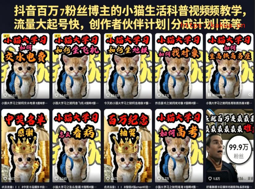 抖音百万粉丝博主的小猫生活科普视频教学，流量大起号快，创作者伙伴计划|分成计划|商单|收徒等-e家网